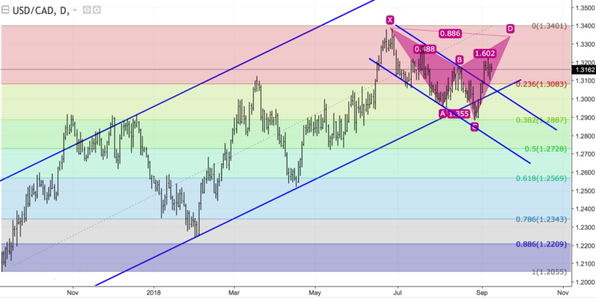 USDCAD Daily.png